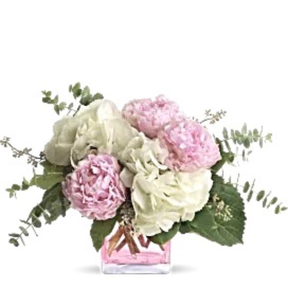 Meet your Posher, Terri - Picture 1 of 1